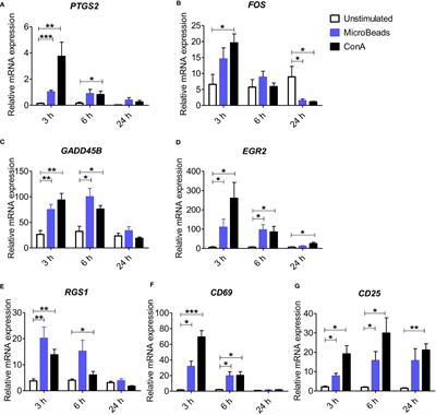 Effective Activation and Expansion of Canine Lymphocytes Using a Novel Nano-Sized Magnetic Beads Approach